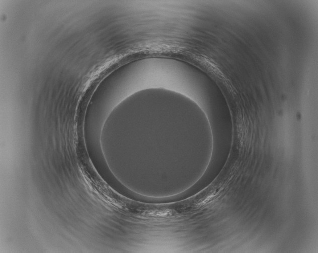 X0000055510488200509091346