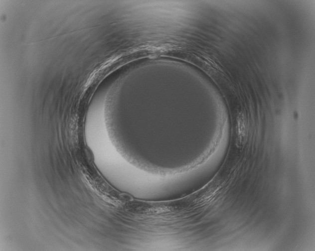 X0000055510492200509091346