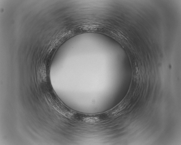 X0000055510508200509091346
