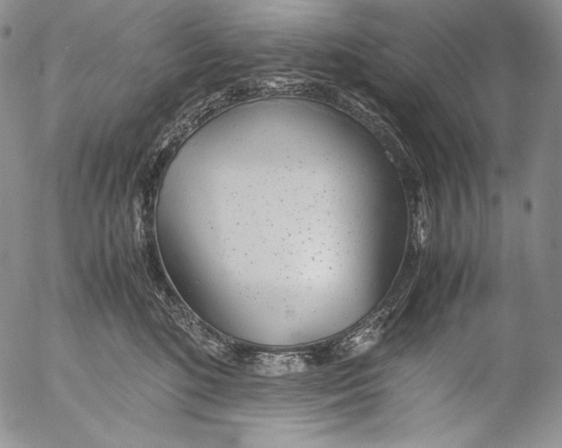 X0000055510520200509091345