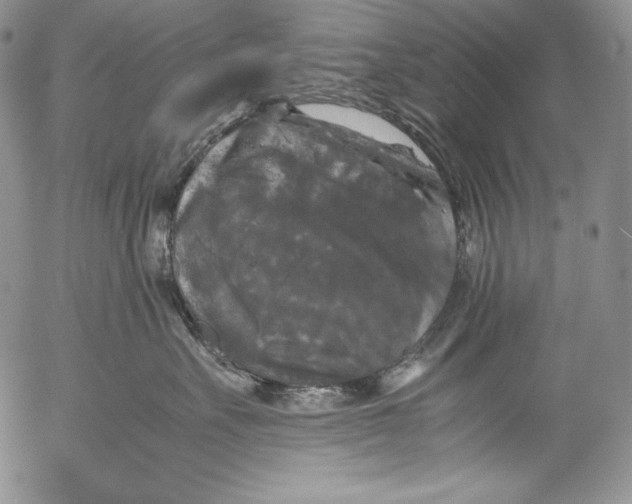 X0000055510527200509091345