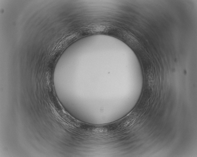X0000055510546200509091345