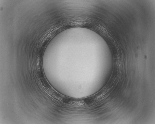 X0000055510548200509091345