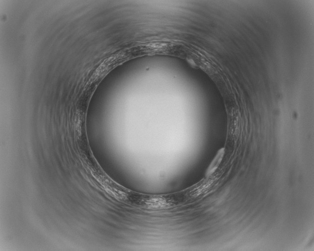 X0000055510562200509091345