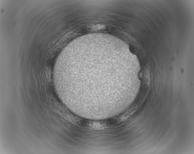 X0000055510565200509091345