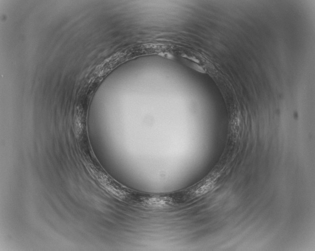 X0000055510566200509091345