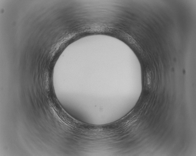 X0000055510588200509091344