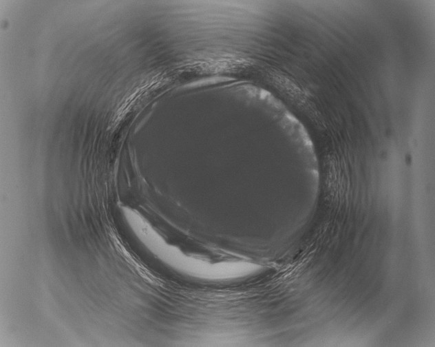 X0000055510590200509091344