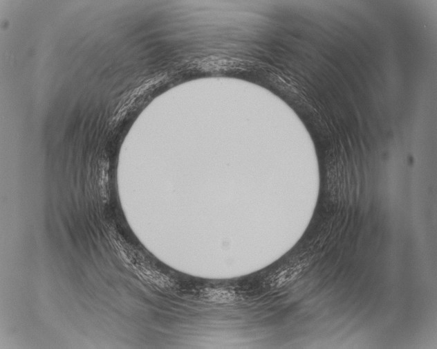 X0000055510592200509091344