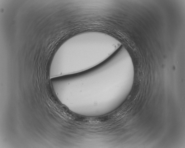 X0000055510601200509091344