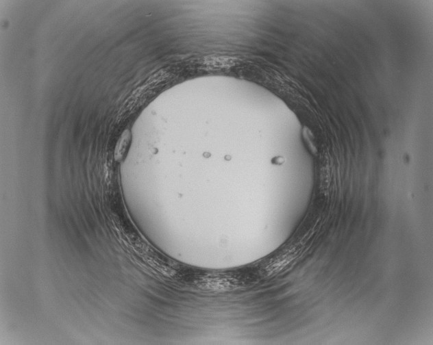 X0000055510608200509091344