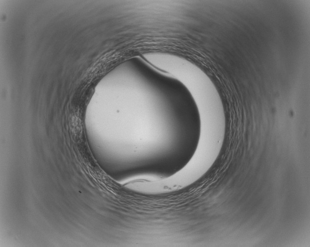 X0000055510609200509091344