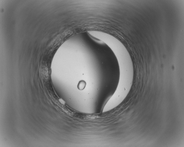 X0000055510617200509091344