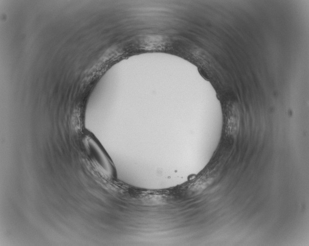 X0000055510620200509091344