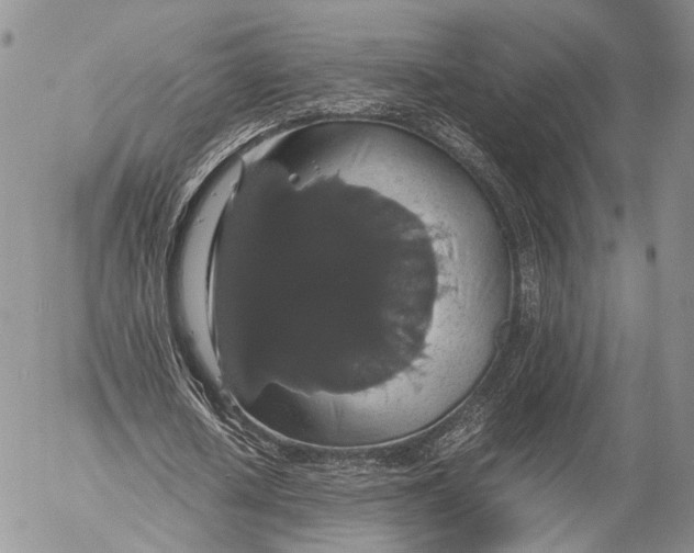 X0000055510626200509091343