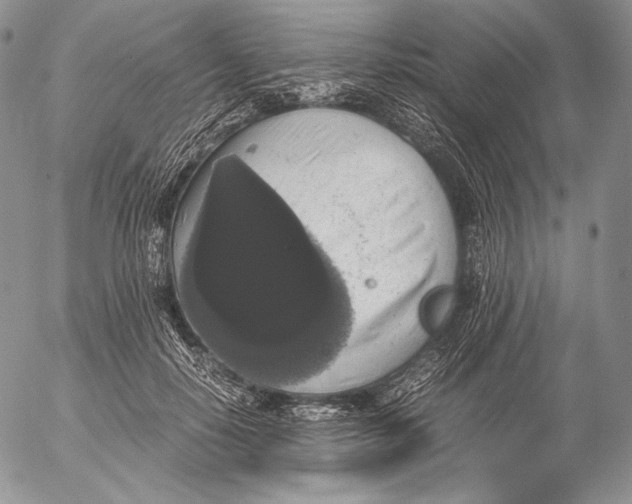 X0000055510650200509091343