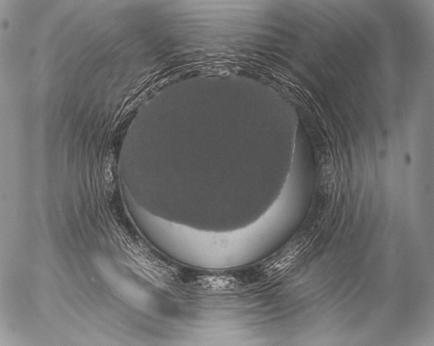 X0000055510654200509091343