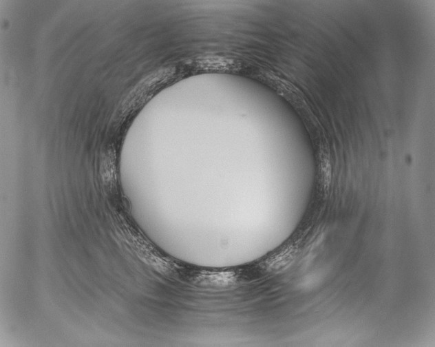 X0000055510665200509091344