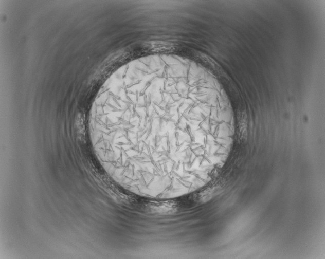 X0000055510667200509091344