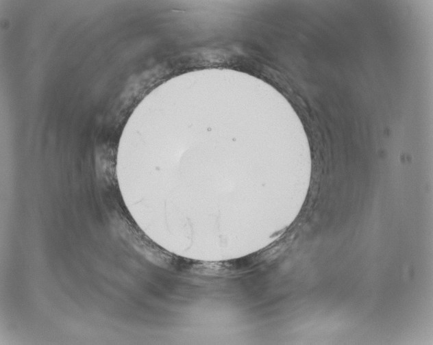 X0000055510672200509091344