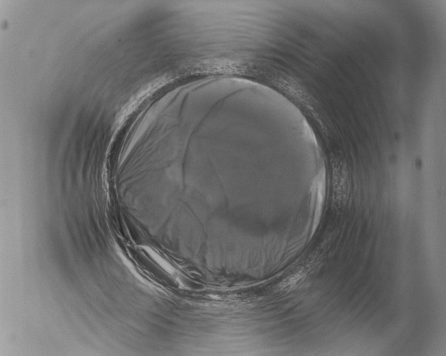 X0000055510674200509091343