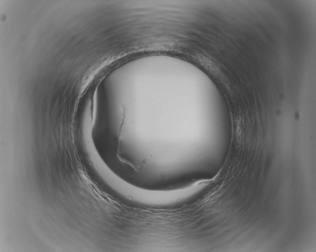 X0000055510676200509091343