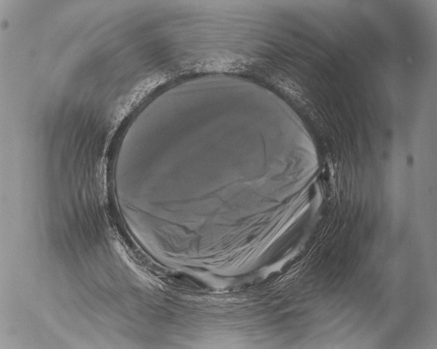 X0000055510678200509091343