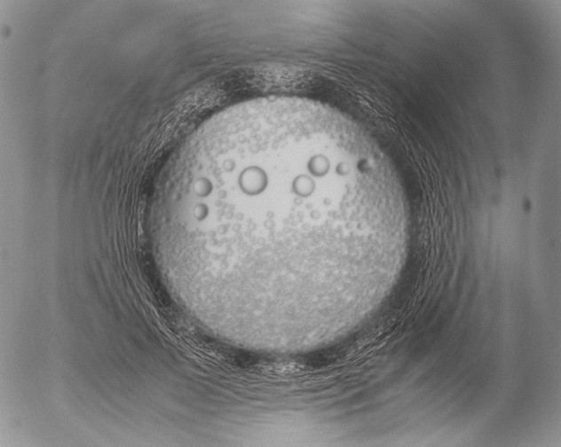 X0000055510695200509091342