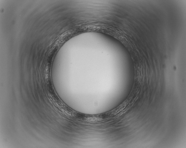 X0000055510708200509091342