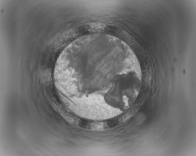 X0000055510711200509091342