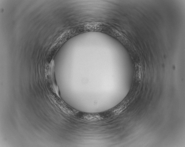 X0000055510712200509091342