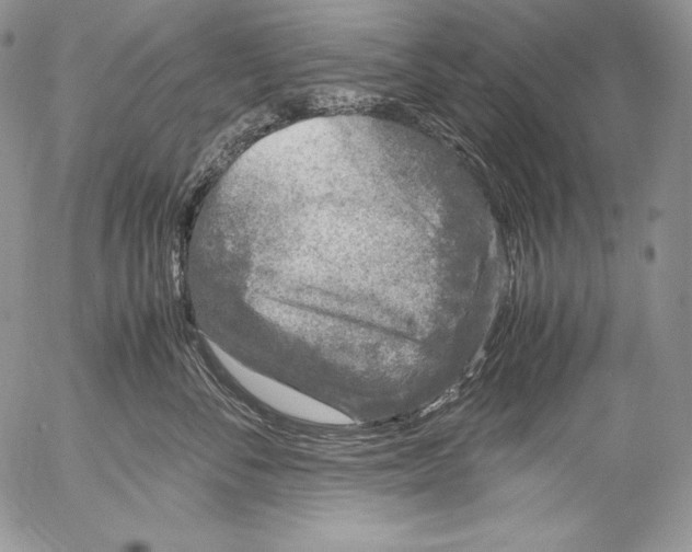 X0000055510716200509091342