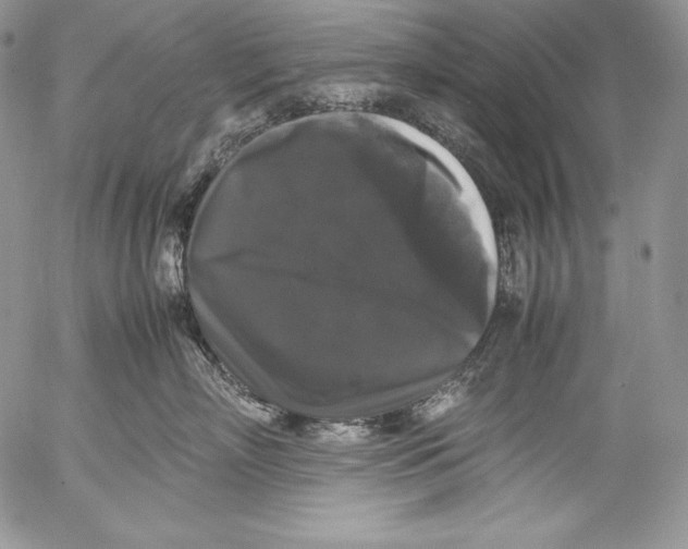 X0000055510718200509091342