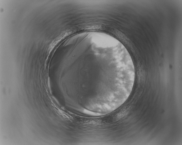 X0000055510721200509091341