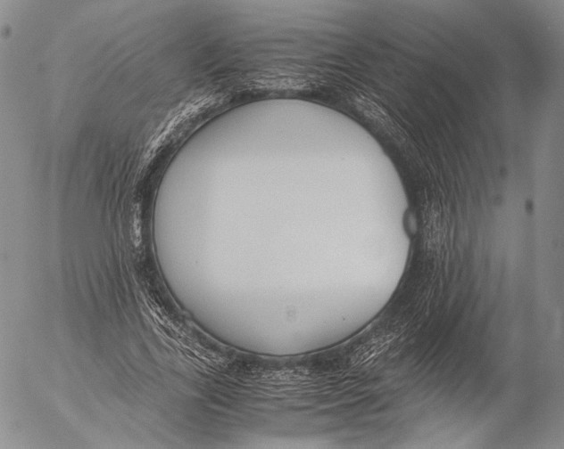 X0000055510731200509091341
