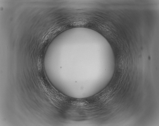 X0000055510743200509091342