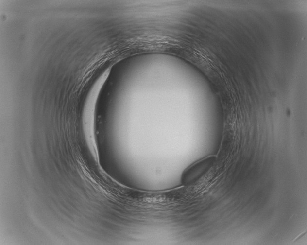 X0000055510744200509091342
