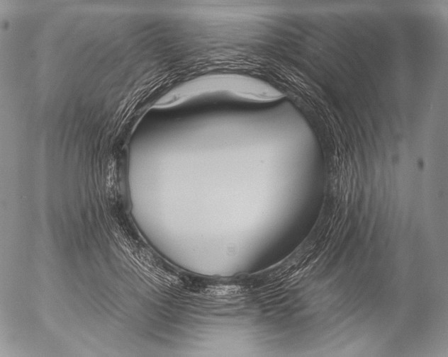 X0000055510748200509091342