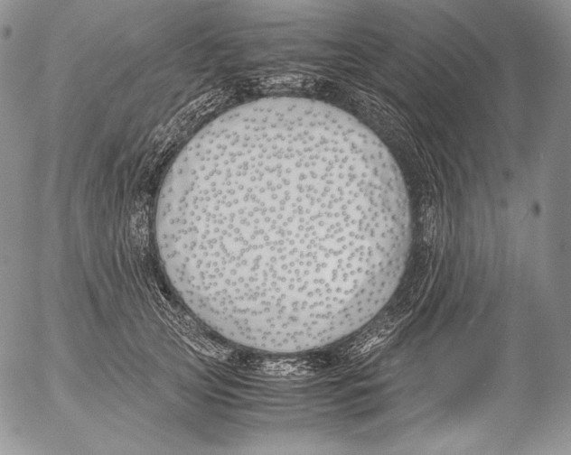 X0000055510753200509091342