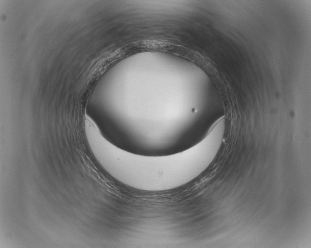 X0000055510762200509091342