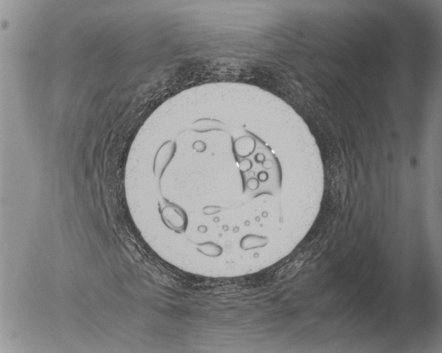 X0000055510769200509091341