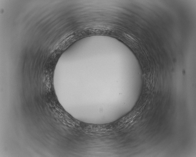 X0000055510774200509091341