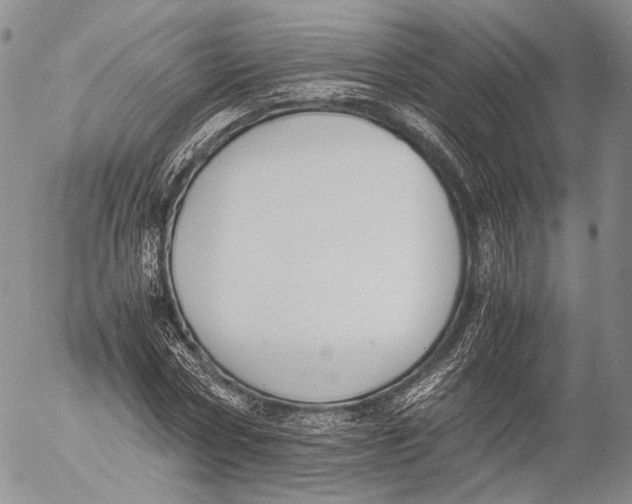X0000055510778200509091341