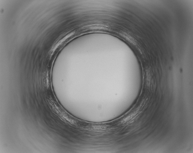 X0000055510782200509091341