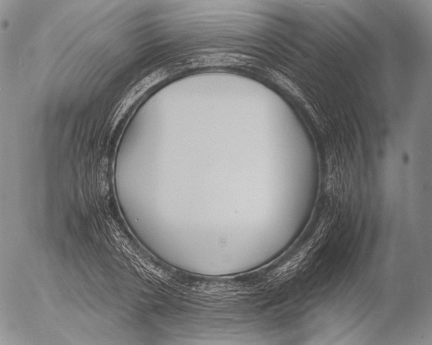 X0000055510786200509091341