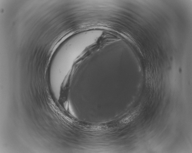 X0000055510790200509091341