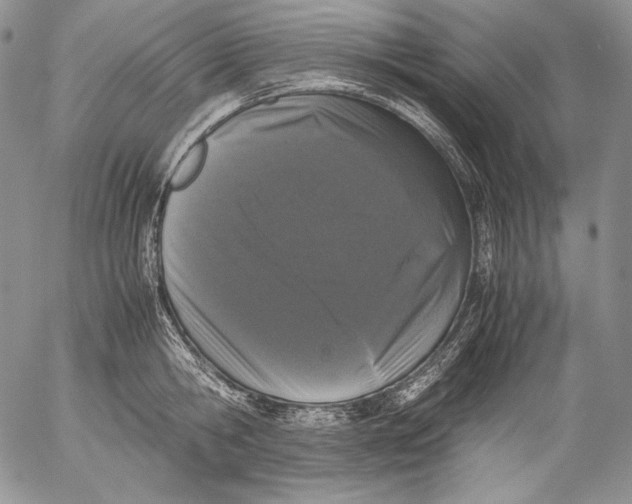 X0000055510806200509091341