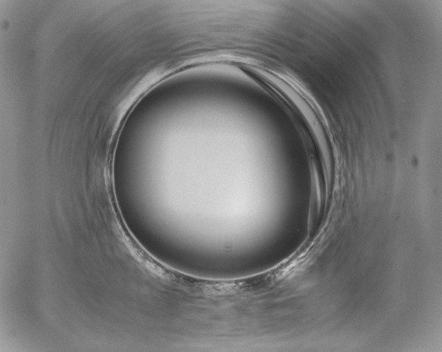 X0000055510813200509091341