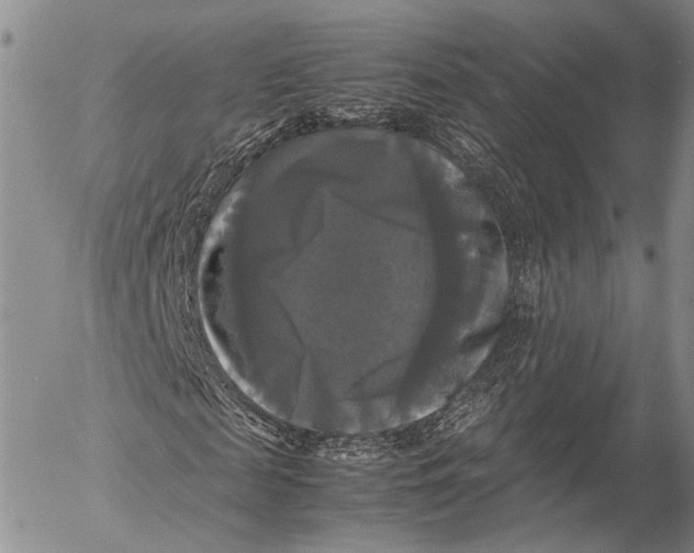 X0000055510817200509091340
