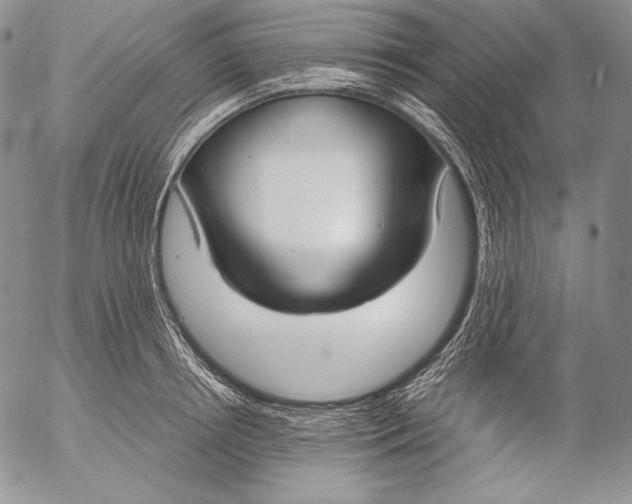 X0000055510850200509091340